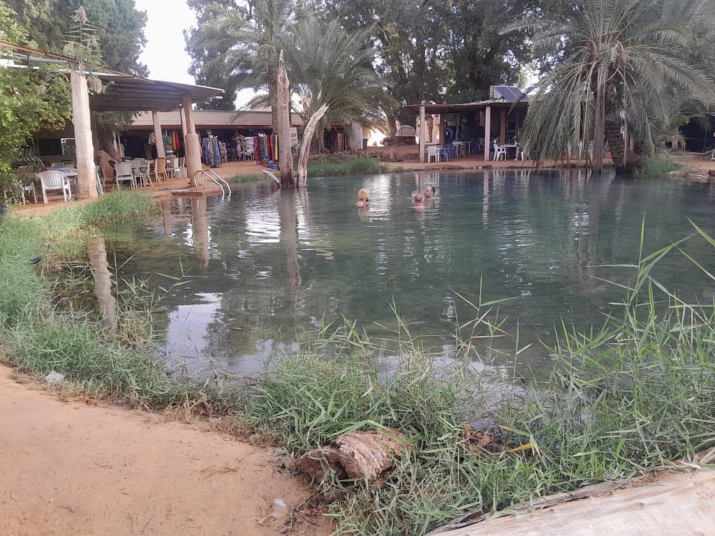 Hot spring at Ksar Ghilane, a natural oasis in the Tunisian desert
